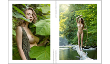 Alpengluehn Paperback