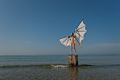 Anna_Wing