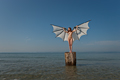 Anna_Wing