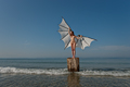 Anna_Wing