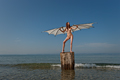 Anna_Wing