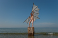 Anna_Wing