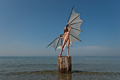 Anna_Wing