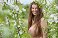Carina_Blooming