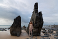 Svala_Rock_Needle