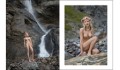 Helvetic Beauty